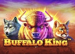 Buffalo King Goodwin Casino Slot  Goodwin Casino Online