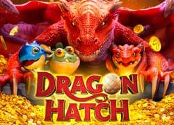 Dragon Hatch Goodwin Casino Game  Goodwin Casino Online