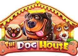 Dog House Goodwin Casino Game  Goodwin Casino Online